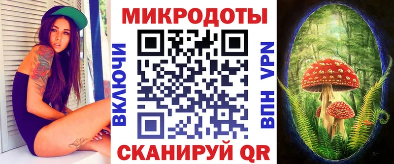 Псилоцибиновые грибы Psilocybe продажа наркотиков Удачный