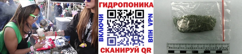 Канабис MAZAR  Удачный 